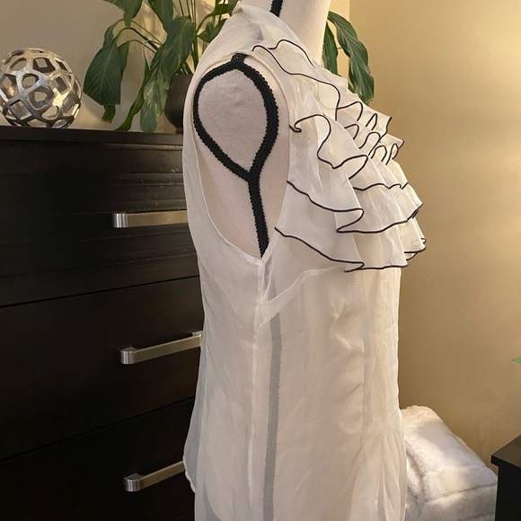 The Limited Sheer Ruffled Blouse - Picture 6 of 10